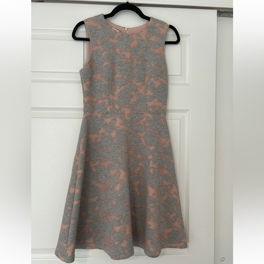 Maggy London Blush and Gray Dress